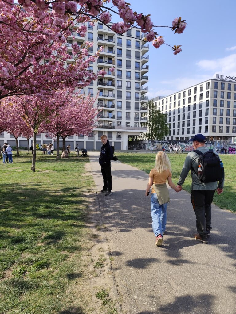 Kirsebærtræerne ved east side gallery – en af de gratis oplevelser i Berlin med børn i foråret