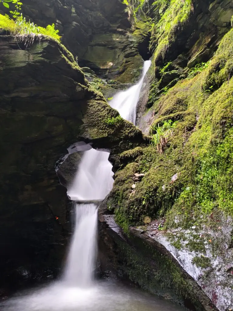 St Nectan’s Glen vandfald omgivet af frodig, grøn skov – sollys glitrer i vandet, der styrter ned i den klare pool nedenfor. Besøg værd når man er på camping i Cornwall